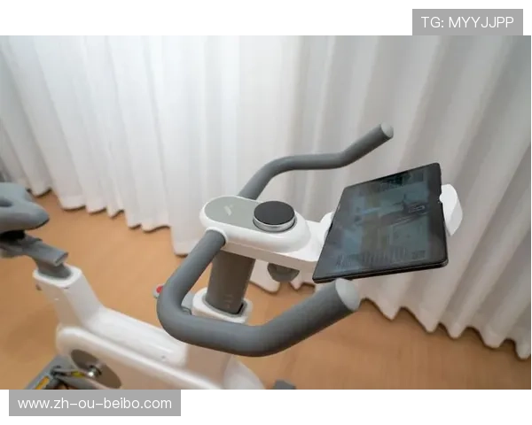 静音磁控动感单车-家用健身器材智能燃脂训练器