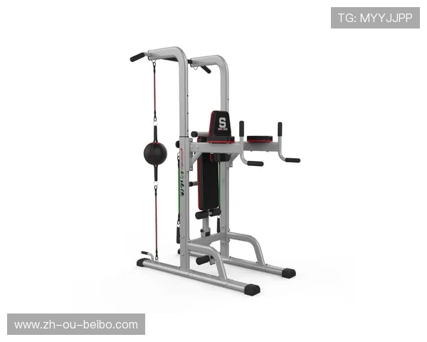 躺式杠铃训练器材详解与家庭布置建议 躺式杠铃训练器材详解与家庭布置建议